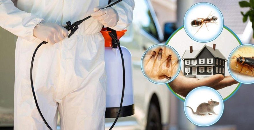 Keles Böcek İlaçlama