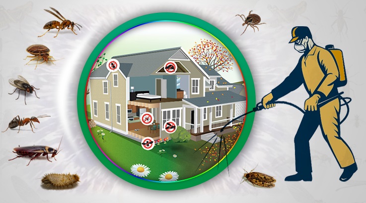 Keles Böcek İlaçlama