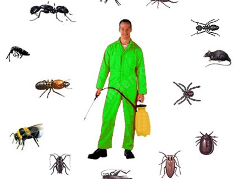 Keles Böcek İlaçlama